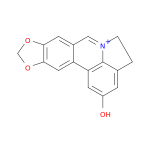 2121-12-2