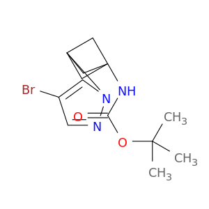 2529550-24-9